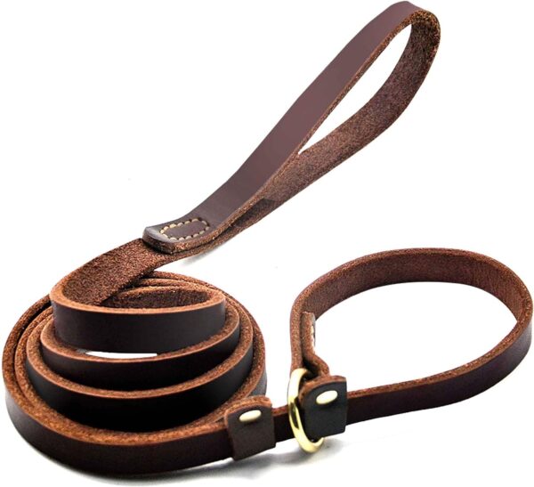 Leather slip leads for dogs