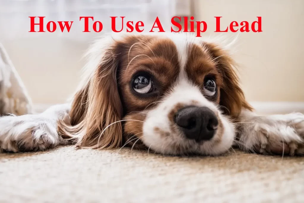 how to use a slip lead